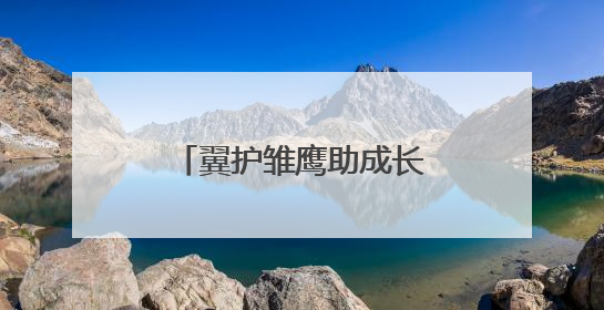翼护雏鹰助成长 武汉市司法局何湾强戒所开展禁毒宣传进校园活动