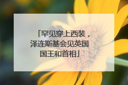 罕见穿上西装，泽连斯基会见英国国王和首相
