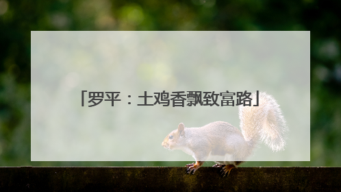 罗平：土鸡香飘致富路