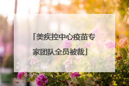美疾控中心疫苗专家团队全员被裁