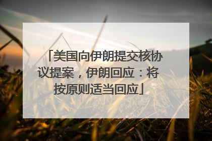 美国向伊朗提交核协议提案，伊朗回应：将按原则适当回应