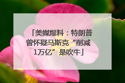 美媒爆料：特朗普曾怀疑马斯克“削减1万亿”是吹牛