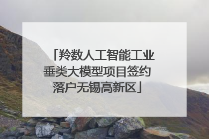 羚数人工智能工业垂类大模型项目签约落户无锡高新区