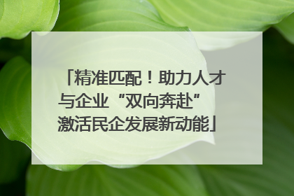 精准匹配！助力人才与企业“双向奔赴” 激活民企发展新动能