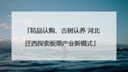 精品认购、古树认养 河北迁西探索板栗产业新模式