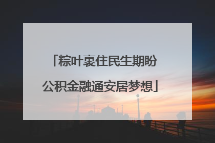 粽叶裹住民生期盼 公积金融通安居梦想