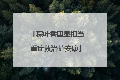 粽叶香里显担当 重症救治护安康