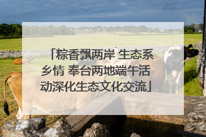 粽香飘两岸 生态系乡情 奉台两地端午活动深化生态文化交流