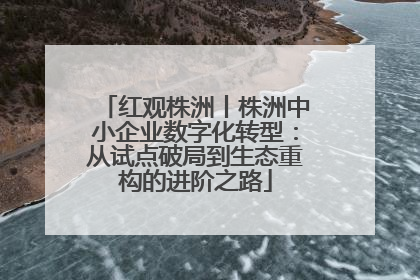 红观株洲丨株洲中小企业数字化转型：从试点破局到生态重构的进阶之路