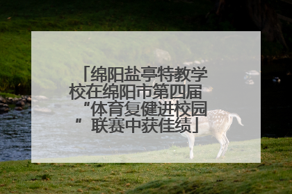 绵阳盐亭特教学校在绵阳市第四届“体育复健进校园”联赛中获佳绩