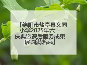 绵阳市盐亭县文同小学2025年六一庆典暨课后服务成果展圆满落幕