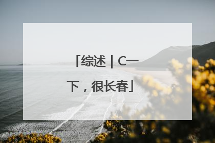 综述｜C一下，很长春