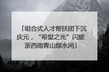 组合式人才帮扶团下沉庆元，“希望之光”闪耀浙西南青山绿水间