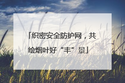 织密安全防护网，共绘烟叶好“丰”景