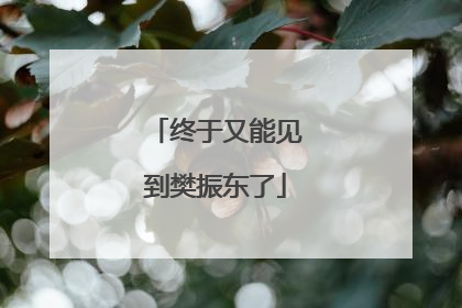 终于又能见到樊振东了