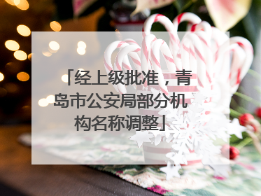 经上级批准，青岛市公安局部分机构名称调整