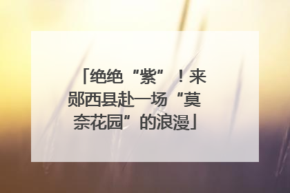 绝绝“紫”！来郧西县赴一场“莫奈花园”的浪漫