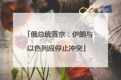 俄总统普京：伊朗与以色列应停止冲突