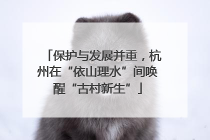 保护与发展并重，杭州在“依山理水”间唤醒“古村新生”