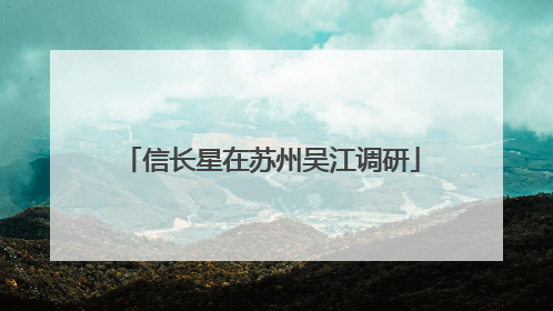 信长星在苏州吴江调研