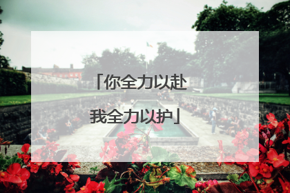 你全力以赴 我全力以护