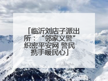 临沂刘店子派出所：“邻家义警”织密平安网 警民携手暖民心