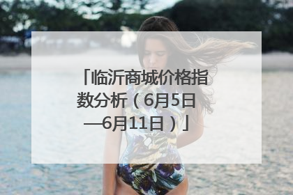 临沂商城价格指数分析（6月5日—6月11日）