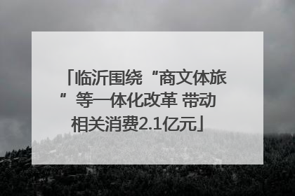 临沂围绕“商文体旅”等一体化改革 带动相关消费2.1亿元