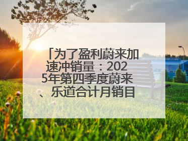 为了盈利蔚来加速冲销量：2025年第四季度蔚来、乐道合计月销目标达5万辆