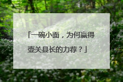 一碗小面，为何赢得壶关县长的力荐？