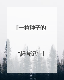 一粒种子的“赶考记”