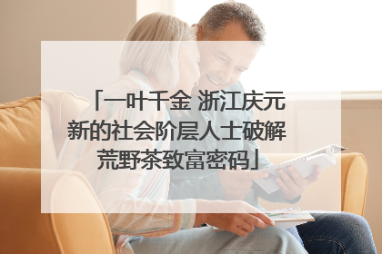 一叶千金 浙江庆元新的社会阶层人士破解荒野茶致富密码