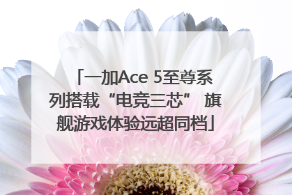 一加Ace 5至尊系列搭载“电竞三芯” 旗舰游戏体验远超同档