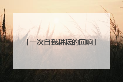 一次自我耕耘的回响