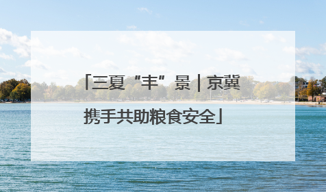 三夏“丰”景｜京冀携手共助粮食安全