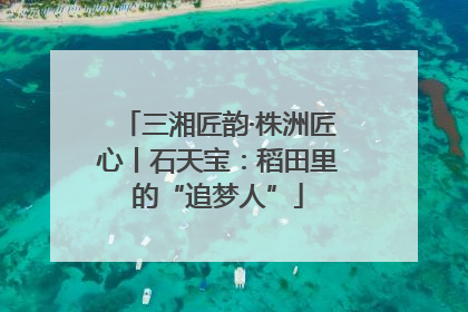 三湘匠韵·株洲匠心丨石天宝：稻田里的“追梦人”