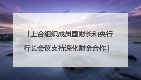 上合组织成员国财长和央行行长会议支持深化财金合作