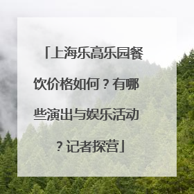 上海乐高乐园餐饮价格如何？有哪些演出与娱乐活动？记者探营