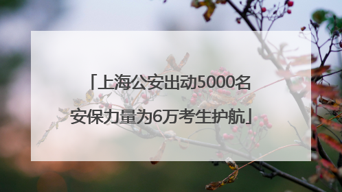 上海公安出动5000名安保力量为6万考生护航