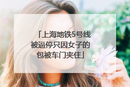 上海地铁5号线被逼停只因女子的包被车门夹住