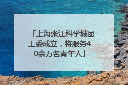上海张江科学城团工委成立，将服务40余万名青年人