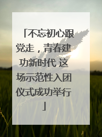 不忘初心跟党走，青春建功新时代 这场示范性入团仪式成功举行