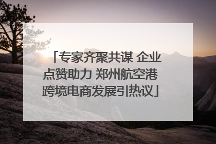 专家齐聚共谋 企业点赞助力 郑州航空港跨境电商发展引热议