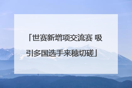 世赛新增项交流赛 吸引多国选手来穗切磋