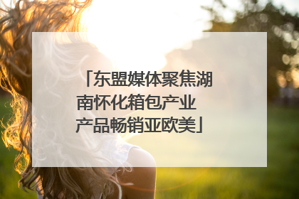东盟媒体聚焦湖南怀化箱包产业 产品畅销亚欧美
