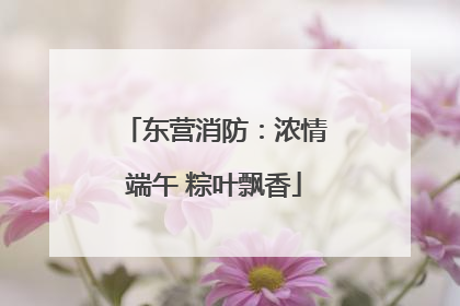 东营消防：浓情端午 粽叶飘香