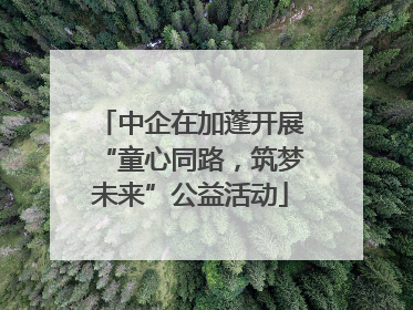 中企在加蓬开展“童心同路，筑梦未来”公益活动