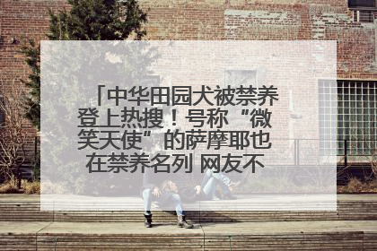 中华田园犬被禁养登上热搜！号称“微笑天使”的萨摩耶也在禁养名列 网友不解西安多部门回应