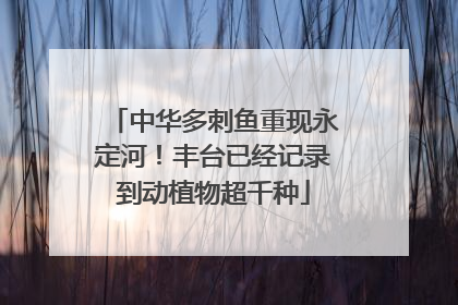 中华多刺鱼重现永定河！丰台已经记录到动植物超千种