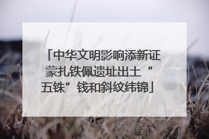中华文明影响添新证 蒙扎铁佩遗址出土“五铢”钱和斜纹纬锦